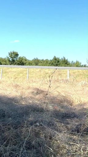 Punishing the Slave Girl