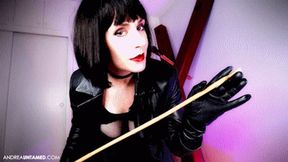 A Cruel Caning For The House Slave - Mobile