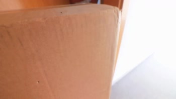 Delivery Guy's Dream Come True: Miss Savage's POV Roleplay