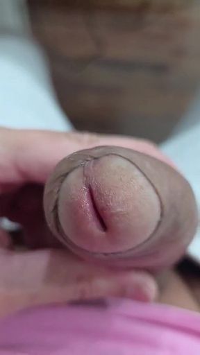 The Head of My Penis