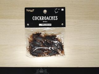 Ahh! Fake Cockroach Stomp