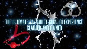 The Ultimate Gay Multi-cum JOI Experience - Claimed and Owned (cumshot 3)