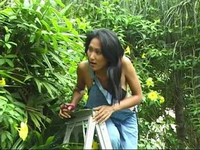 Asian hotties posing compilation 3