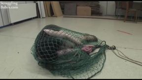 Pretty Lilly Caught