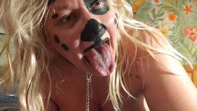 Happy pet play
