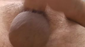 Furry puppy gets neutered and cums with elastrator band