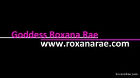 September TIny Dick Tax 2023