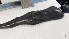 The Mummy