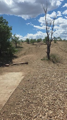 Ballbusting and disc golf part 2