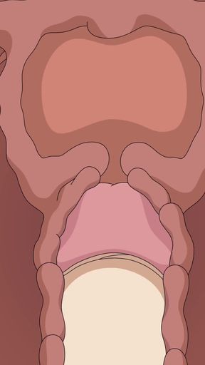NARUTO HENTAI TEMARI IS FUCKED AND CREAMPIED FULL VIDEO   Clip 1