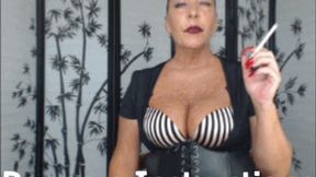 Sniff Instruction Stroking HD (MP4)