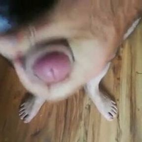 dick masturbation, Petrinja10