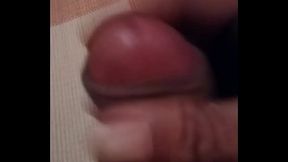 Lima Pinheiro santa Quit&eacute_ria