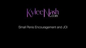 Small Penis Encouragement and JOI