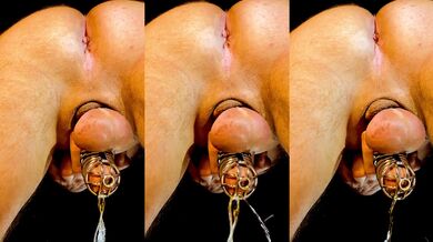 What sounds! Lovers of golden rain!