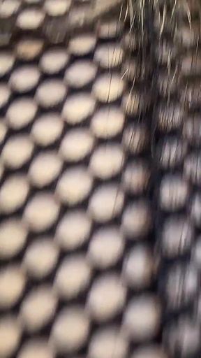 Raquel Milher Intimates