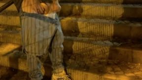 Compilation of Amateur Boys Flashing Their Cocks in the Street (or Park)