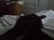 Horny Jamaican