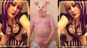 the jerk pause oink game by goddess lana