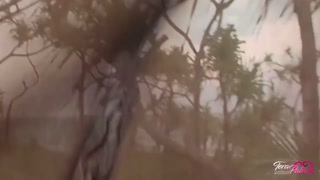 Lesbians Tera Patrick &amp; Nikki Benz Perform A Hot Scene Of Sex In The Beach!