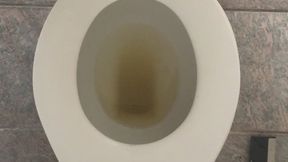 PEE GOLD TOILET