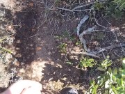 hot cop piss , & jerk off and talk dirty untill cum