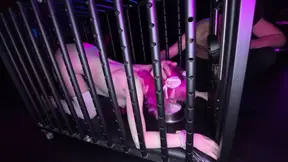 A Young Bitch Is Fucked in Her Cage