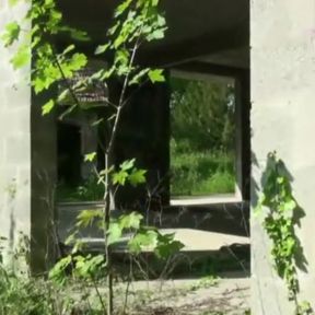 Not gay but ok to suck you and more