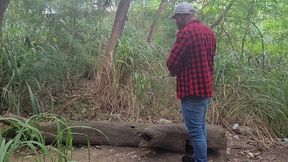 tomando tora do lenhador