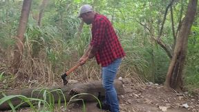 tomando tora do lenhador