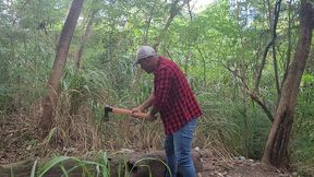 tomando tora do lenhador
