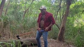 tomando tora do lenhador