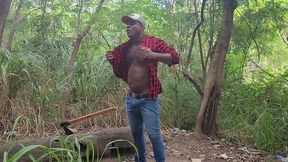 tomando tora do lenhador