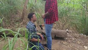 tomando tora do lenhador