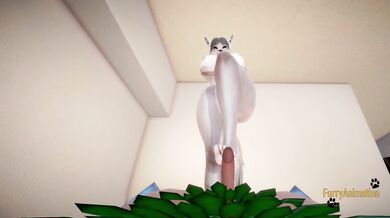Worships creampied human dragon POV
