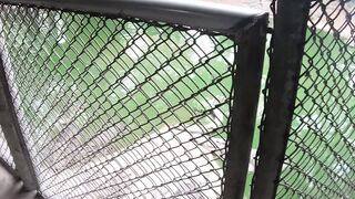 Crocodile Queens Perserving Pussy Gets Pounded by Rambunctious Rhinos!