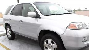 Francesca Leon: brunette milf in love