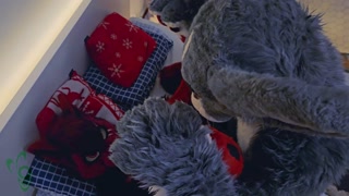 Furry bunny fucks a tiny hot female wolf (Murrsuit Porn)