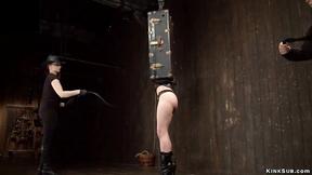 ”Master & mistress torment bound bitch”