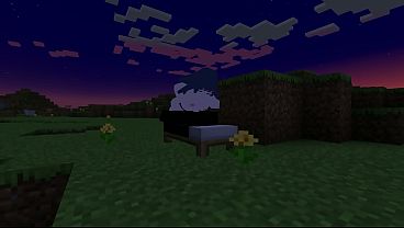 Minecraft Player Gets His Dick Drained