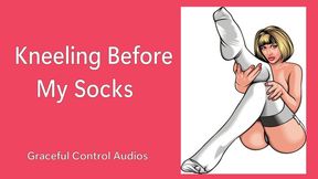 Kneeling Before My Socks - Socks - Graceful Control Audios