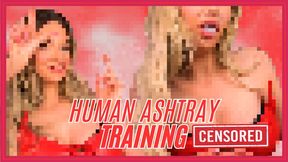 720MP4 Human Ashtray Training (Beta Safe Censored Loser Porn)