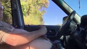 Daddy in the car play and cum