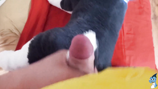 Hauge mutt Fun#6