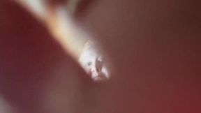 POV: Giantess Takes Her Tiny To A Meeting