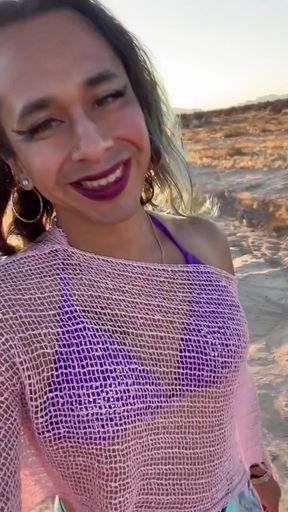TS Stripper in the Desert