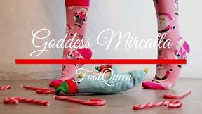 Santa Socks  Winter Plushie Crinkly Crush