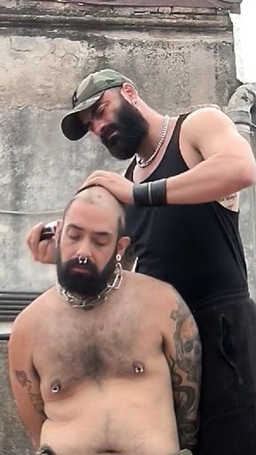 The Bearded Master Has a Hairy Pig Slave and Shaves Its Head.