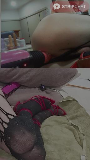 Twink Skinny Sissy Gay Fuck Machine Anal Amateur Webcam Orgasm - AmyAllure