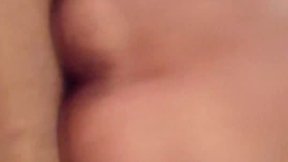 Gemma transex 333 573 6159